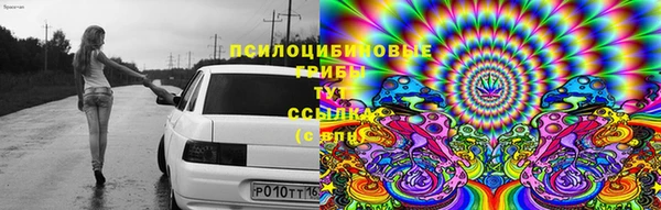 таблы Армянск